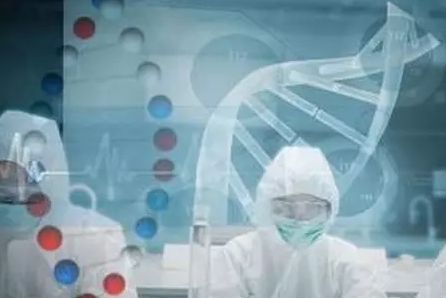 在郑州怎么做无创胎儿DNA亲子鉴定