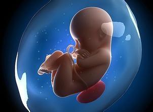 西安孕期无创亲子鉴定最早多久能拿到结果