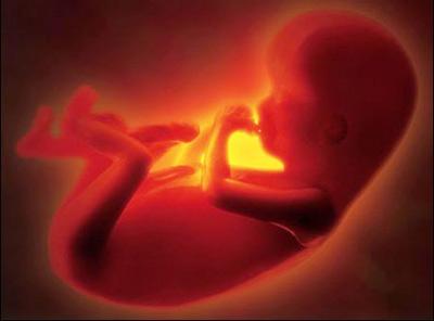 大连最早什么时候可以做胎儿dna亲子鉴定