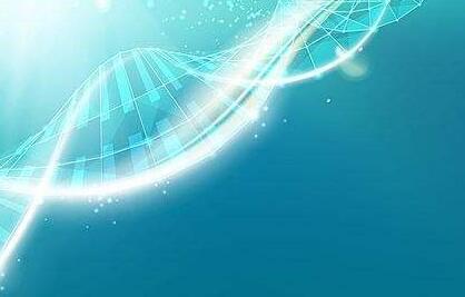 郑州DNA无创产前亲子鉴定需要哪些条件