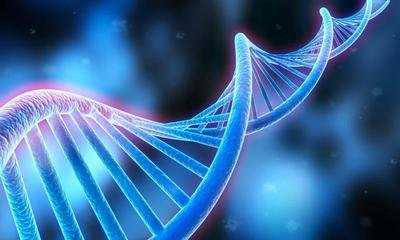 在广州DNA亲子鉴定机构有哪些?