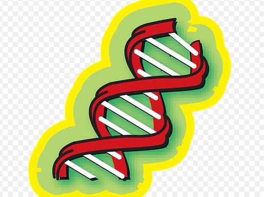 宁波医院能不能做DNA检测鉴定，亲子鉴定资质怎么看