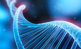 什么是DNA亲子鉴定？在天津DNA亲子鉴定有多准确?