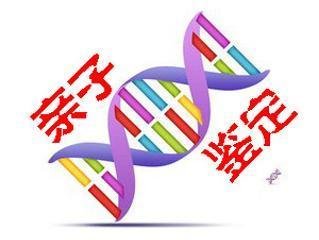 长沙DNA亲子鉴定结果99.99%和99.9999%有什么区别?DNA亲子鉴定准确率高吗?