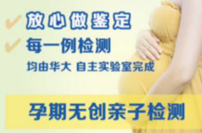 怀孕亲子鉴定‍