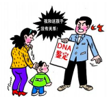 亲子鉴定费用