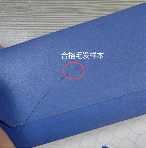 DNA检测带毛囊毛发样本
